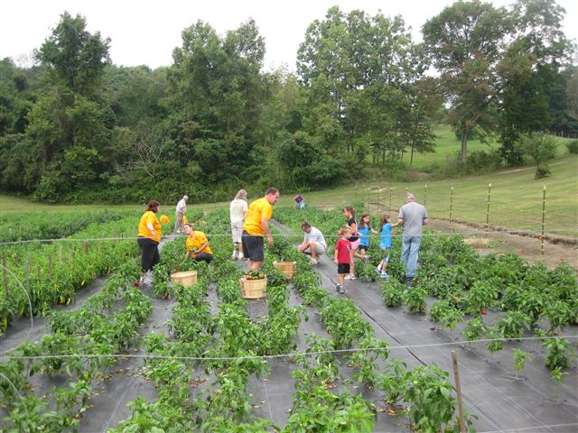 Day of Service