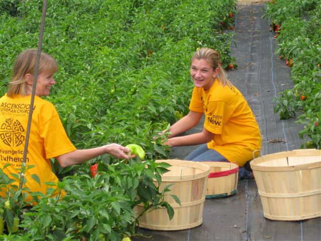 Day of Service