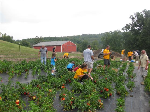 Day of Service